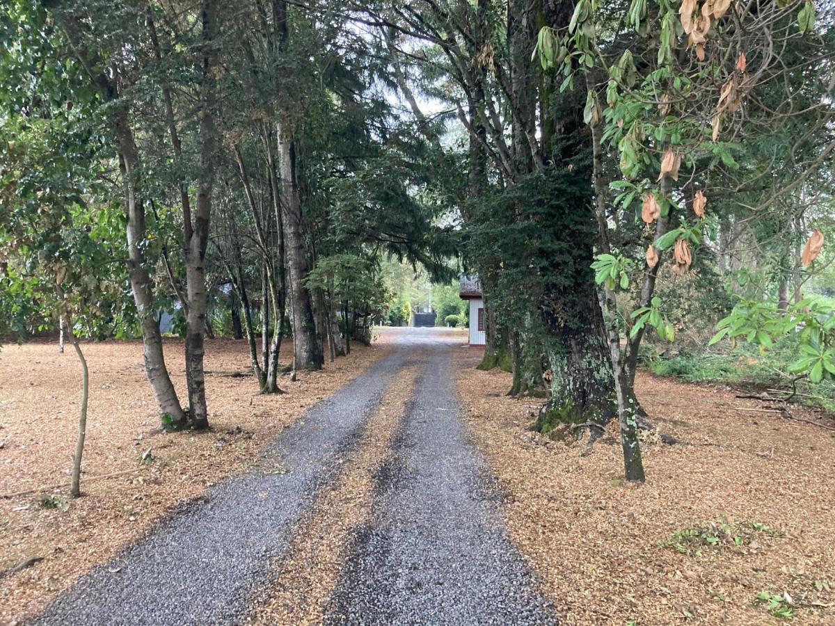 Motel Los Robles Temuco Kültér fotó